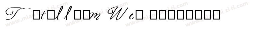 Titillium Wed 黑体字体转换